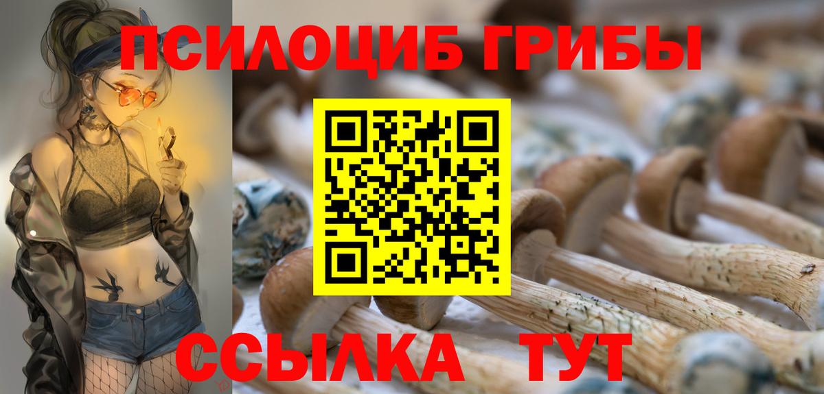 Псилоцибиновые грибы Magic Shrooms  Галлюциногенные грибы MAGIC MUSHROOMS  Назрань  Вход с VPN 